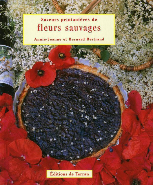 Saveurs printanières de fleurs sauvages - Bernard Bertrand - Éditions de Terran