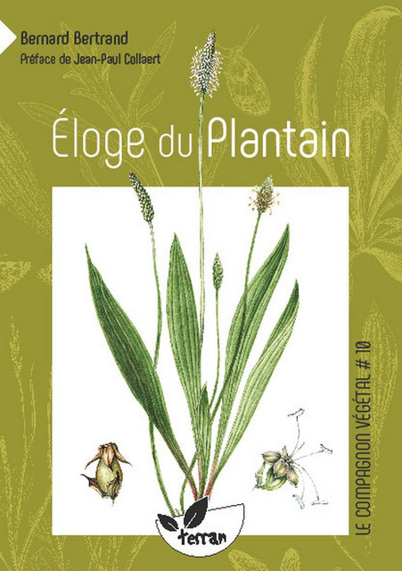 Éloge du Plantain - Bernard Bertrand - Éditions de Terran