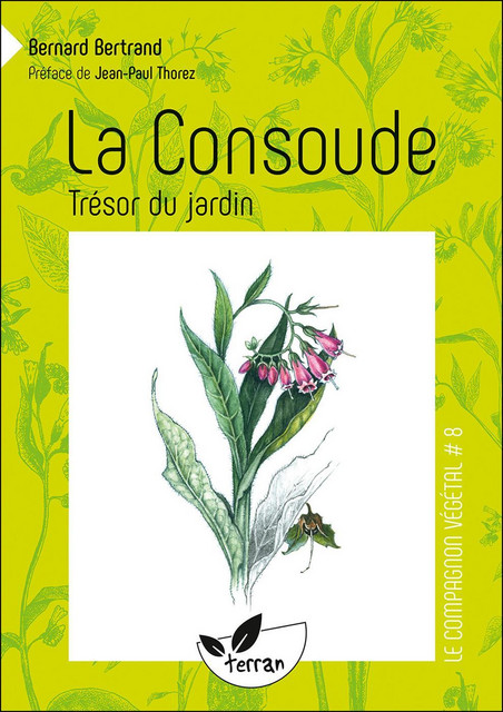La Consoude, trésor du jardin - Bernard Bertrand - Éditions de Terran