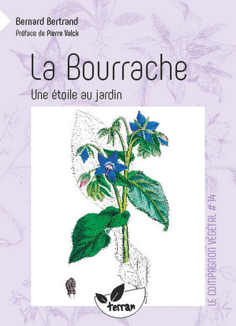 La Bourrache, une étoile au jardin - Bernard Bertrand - Éditions de Terran