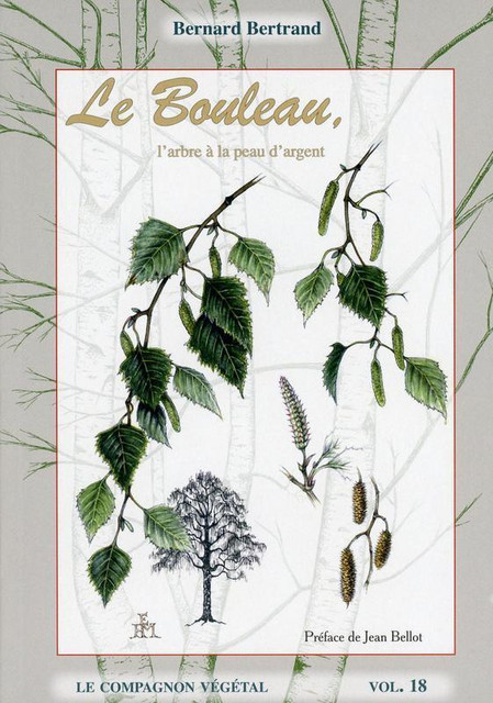 Le Bouleau, l'arbre à la peau d'argent - Bernard Bertrand - Éditions de Terran