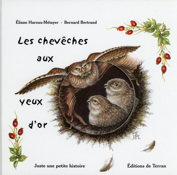 Les Chevêches aux yeux d'or - Bernard Bertrand, Eliane Haroux-Métayer - Éditions de Terran