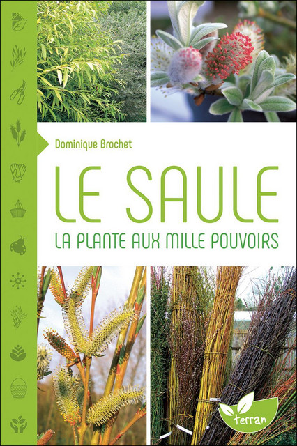 Le Saule  - Dominique Brochet - Éditions de Terran