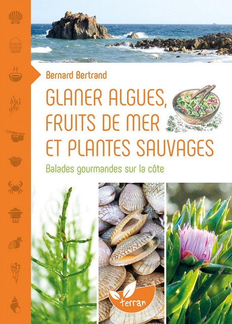 Glaner algues, fruits de mer et plantes sauvages  - Bernard Bertrand - Éditions de Terran