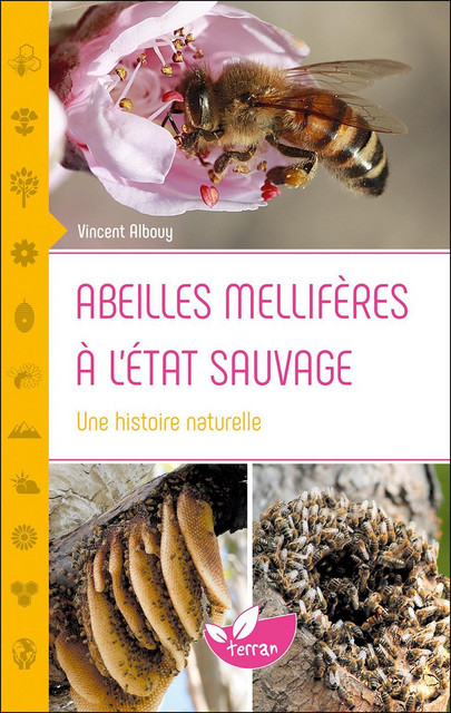 Abeilles mellifères à l'état sauvage  - Vincent Albouy - Éditions de Terran