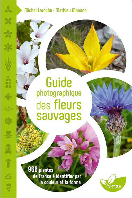 Guide photographique des fleurs sauvages  - Michel Laroche, Mathieu Menand - Éditions de Terran