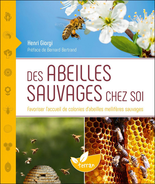 Des abeilles sauvages chez soi  - Henri Giorgi - Éditions de Terran