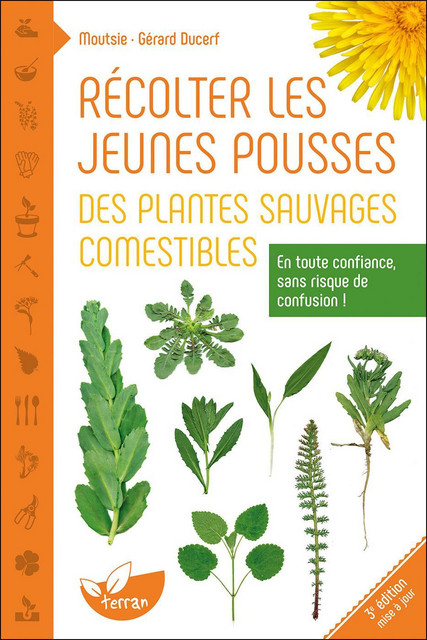 Récolter les jeunes pousses des plantes sauvages comestibles  -  Moutsie, Gérard Ducerf - Éditions de Terran