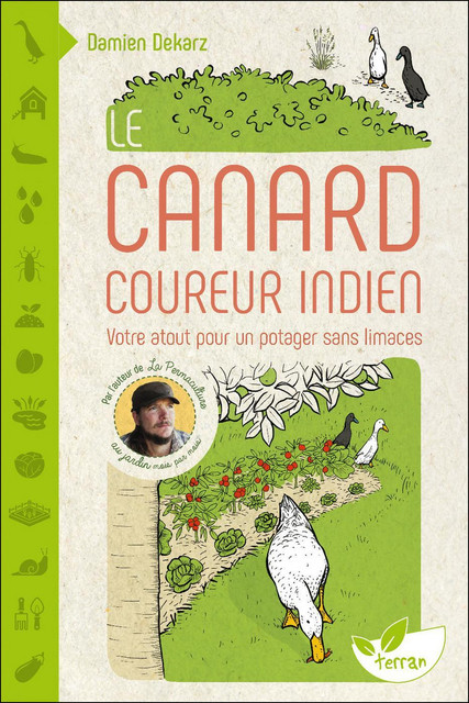 Le Canard coureur indien,votre atout pour un potager sans limaces - Damien Dekarz - Éditions de Terran